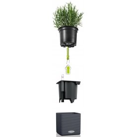 Кашпо Кьюб Колор 16