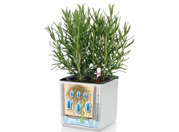 Кашпо Кьюб Колор 16