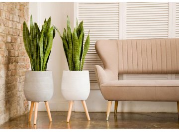 Кашпо Страйп Овальное с Подставкой D20.5 H32 WSTRIPR20-T