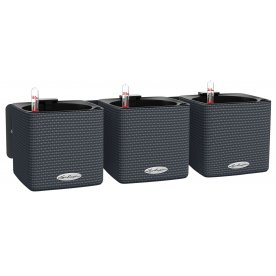 Комплект кашпо Wall Home Kit Color