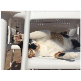 Пластиковый стул Bora