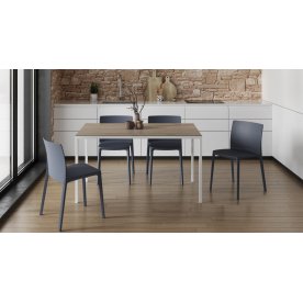 Стул пластиковый Evo-S