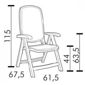Пластиковое кресло Delta