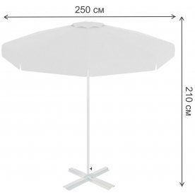 Зонт 50-1011-25/WH/WH/V+61-2001-05/W/35