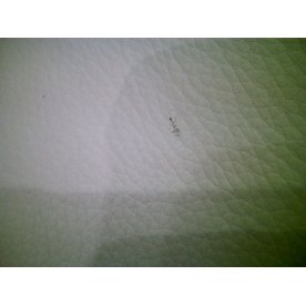 Барный стул Fera бежевый - Уцененный экземпляр