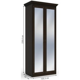 Шкаф Бирель 2