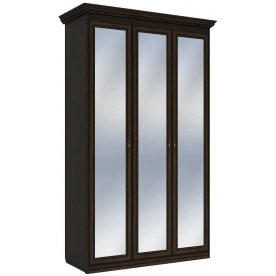 Шкаф Бирель 3