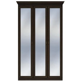 Шкаф Бирель 3