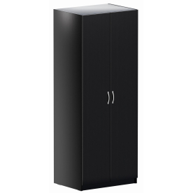 Шкаф Пегас 2