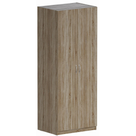 Шкаф Пегас 2