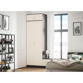 Шкаф Ронда ШК-2