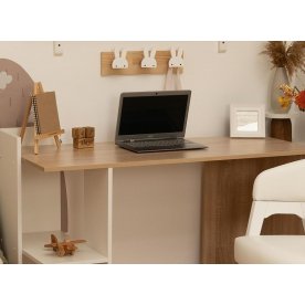 Письменный стол Тип 1