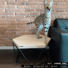 Журнальный столик Гексагон