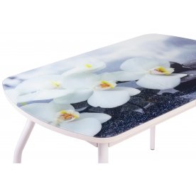 Деревянный стол Элла