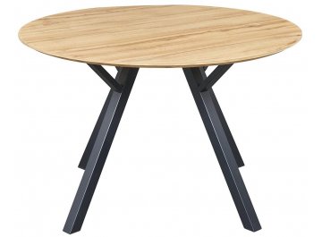 Деревянный стол DT-938 120