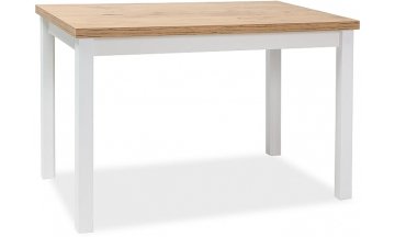 Деревянный стол Adam 100