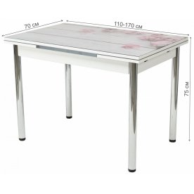 Стеклянный стол 4001