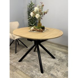 Деревянный стол DO1100