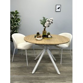 Деревянный стол DO1100