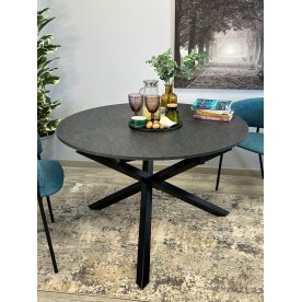 Деревянный стол DR1100