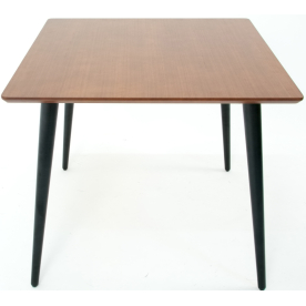 Деревянный стол Монте М 100