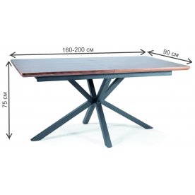 Деревянный стол Logan 160-200/90/75
