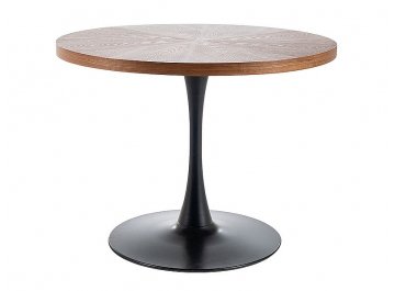 Деревянный стол Amadeo