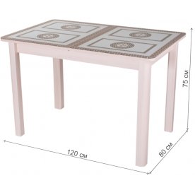 Стеклянный стол Танго ПР-1 04