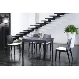 (НЕАКТИВЕН, больше не поставляется) Обеденная группа "cтол 6035T венге, стул 6035С венге" (ES)