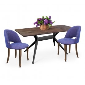 Обеденная группа SHT-DS176