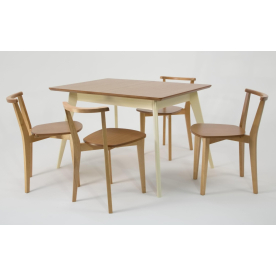Обеденная группа Сканди Франк 120