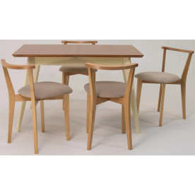 Обеденная группа Сканди Франк 120