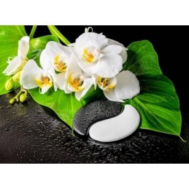 Стеклянный стол Лотос 1100 х 700