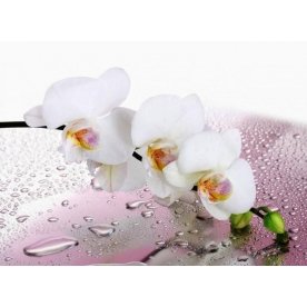 Стеклянный стол Лотос 1100 х 700