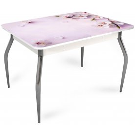 Стеклянный стол Цветы