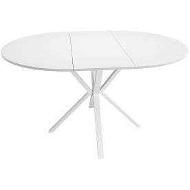 Стеклянный стол DikLine RDBS100X