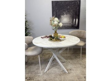 Стеклянный стол R1100s