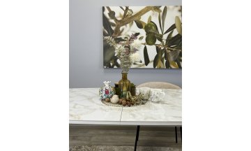 Стеклянный стол SL1600