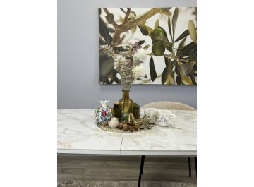 Стеклянный стол SL1600