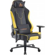 желтый  /  черный