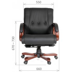 Компьютерное кресло Chairman 653M