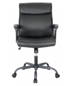 Компьютерное кресло Chairman CH303