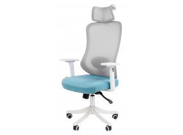 Компьютерное кресло Chairman CH563