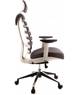 Компьютерное кресло Ergo