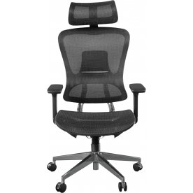 Компьютерное кресло Expert Ergo Fly