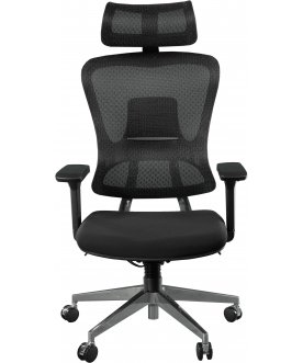 Компьютерное кресло Expert Ergo Fly