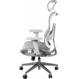 Компьютерное кресло Expert Ergo Fly