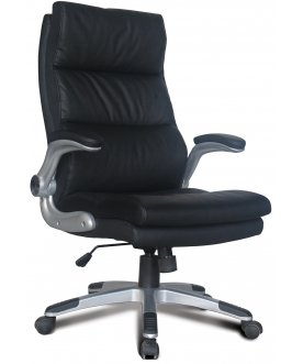 Компьютерное кресло Fregat EX-510