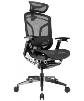 Компьютерное кресло Gt Chair Dvary X Pro