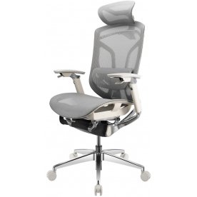 Компьютерное кресло Gt Chair Dvary X Pro